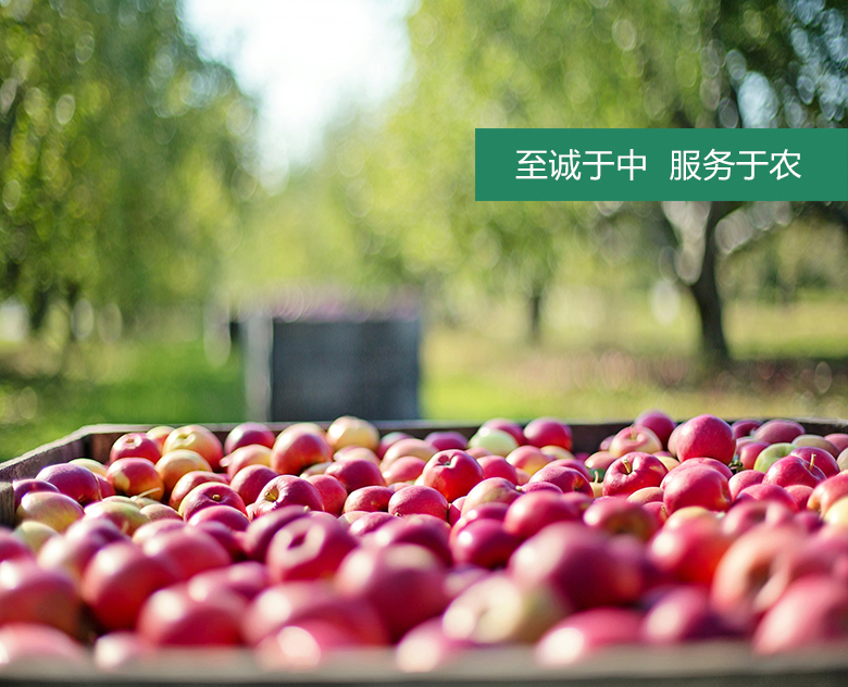 經營理念