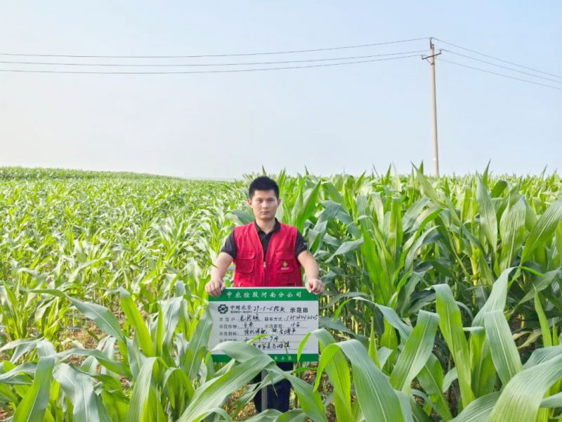 002_副本（文內）